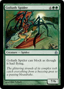 Goliath Spider