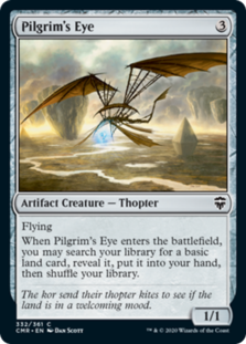 Pilgrim's Eye
