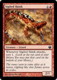 Sigiled Skink