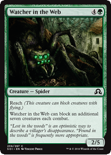 Watcher in the Web
